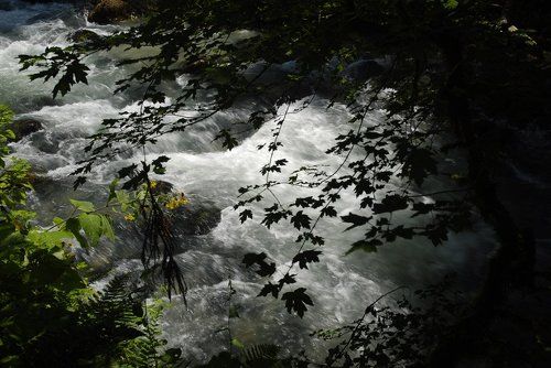 Горная речка