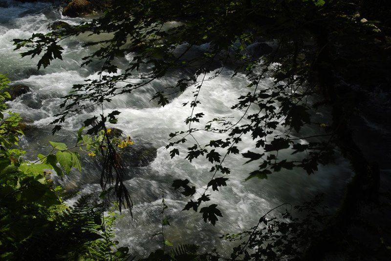 абхазия, страна души Горная речка фото превью