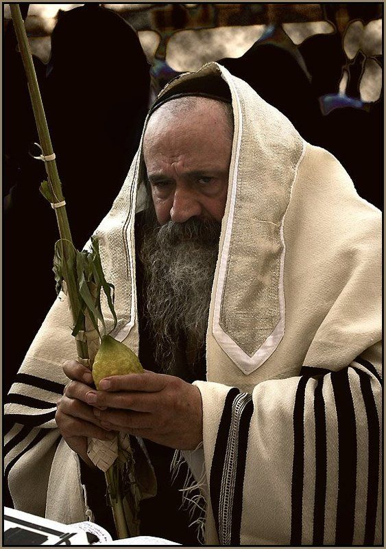 Портрет еврея в праздник Суккот фото превью