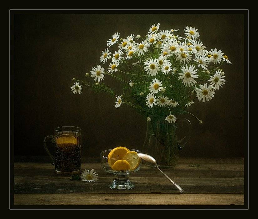 кувшин, ромашки, чай, лимон, натюрморт, Ирина