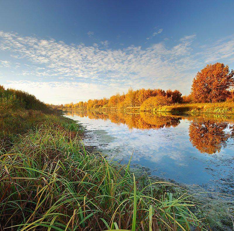 золотая, осень, Ildar