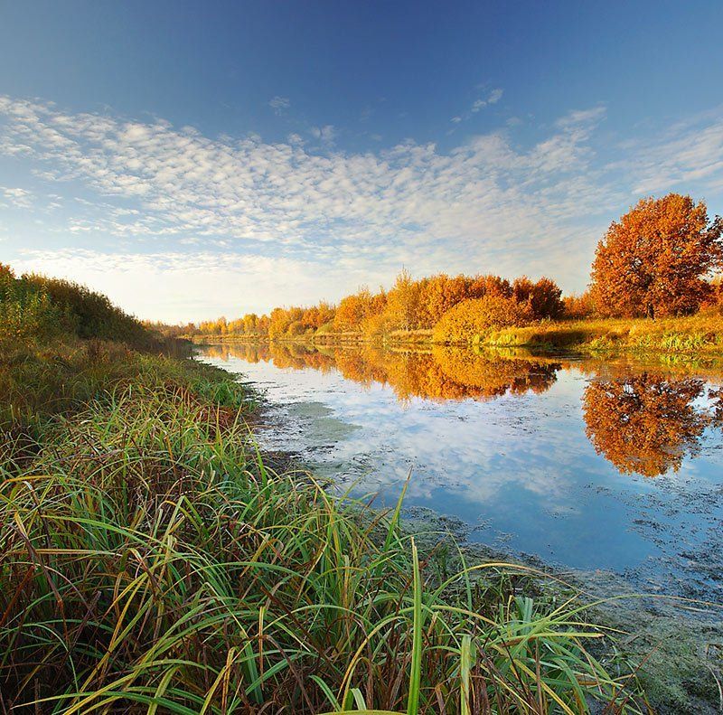 золотая, осень *** фото превью