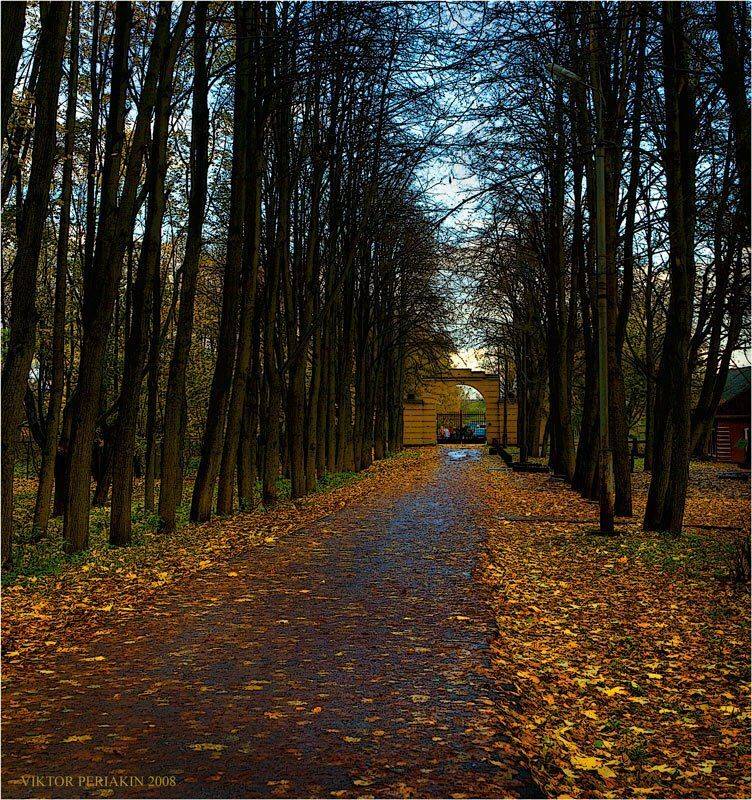 аллея, листья, деревья, осень, тютчев, Виктор Перякин