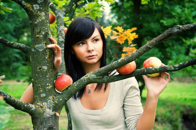 девушка, с, яблоками *** фото превью