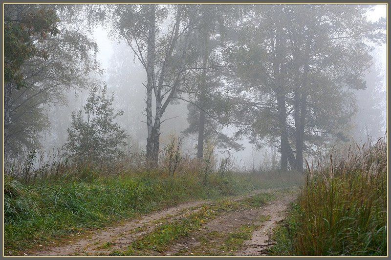 Дорожка в тумане фото превью