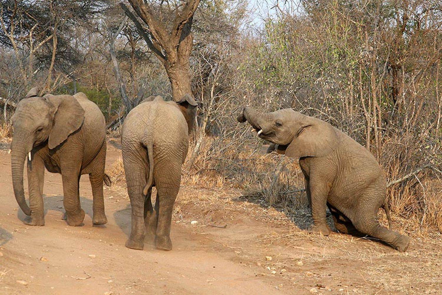 , Владимир Кучеренко