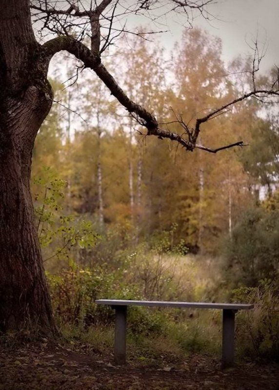 **** фото превью