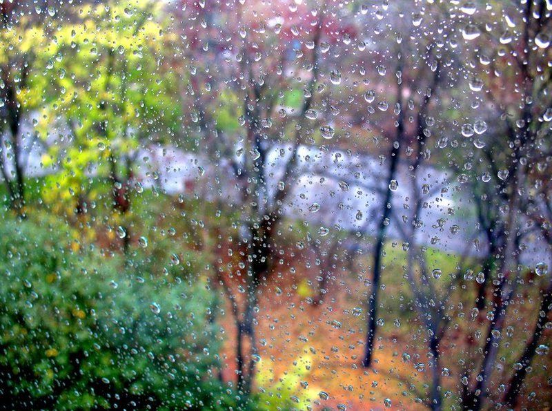 осень , дождь , красота Color Rain фото превью