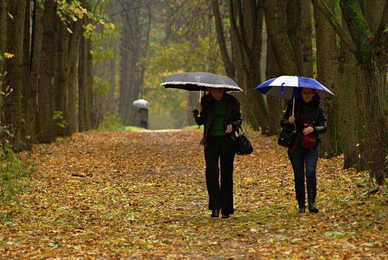 парк, аллея, дождь, зонты Вчерашний дождь фото превью