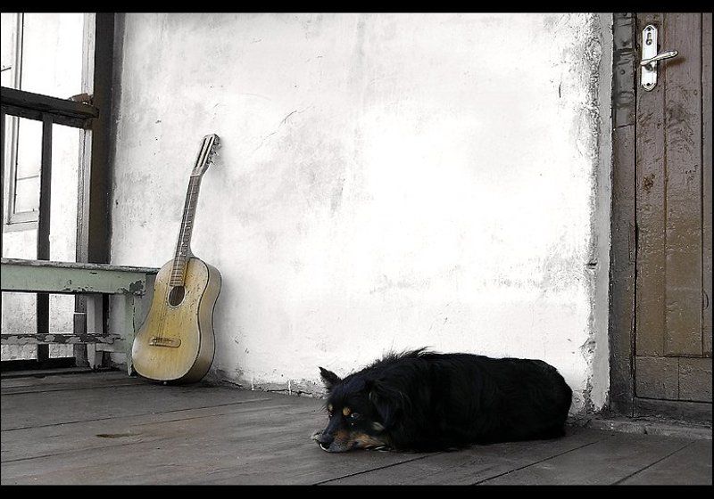 Когда Хозяина Нет фото превью