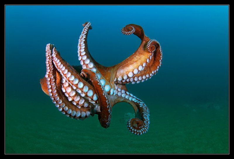 Парение фото превью