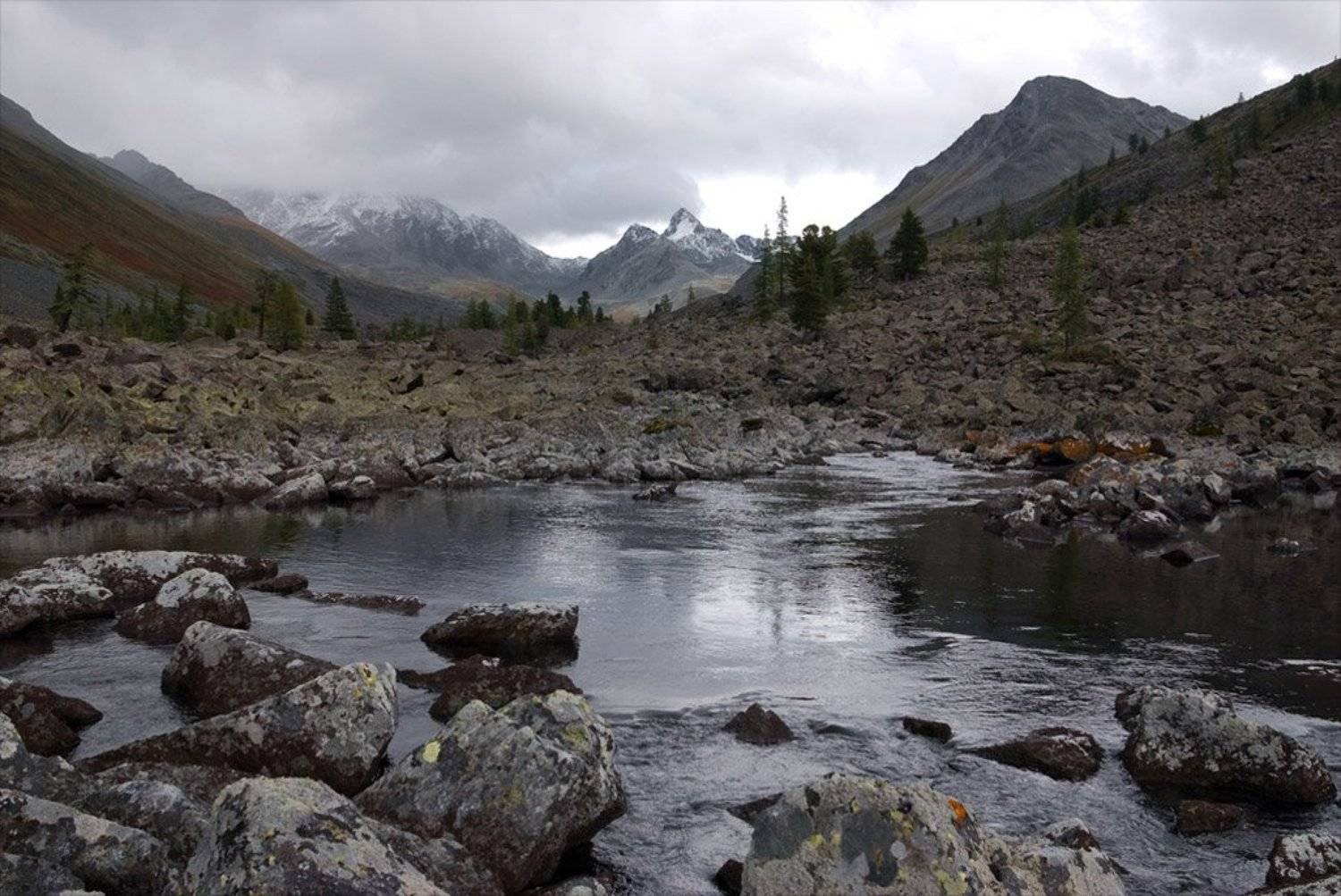 алтай, иолдо, Вячеслав Одинцов