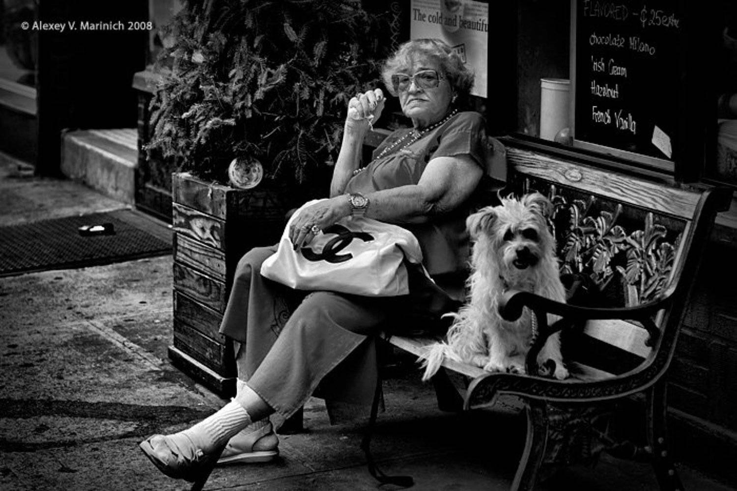 дама, собачка, сша, бруклин, гринпоинт, лето, жанр, ч/б, репортаж, маринич, алексей, Alexey Marinich