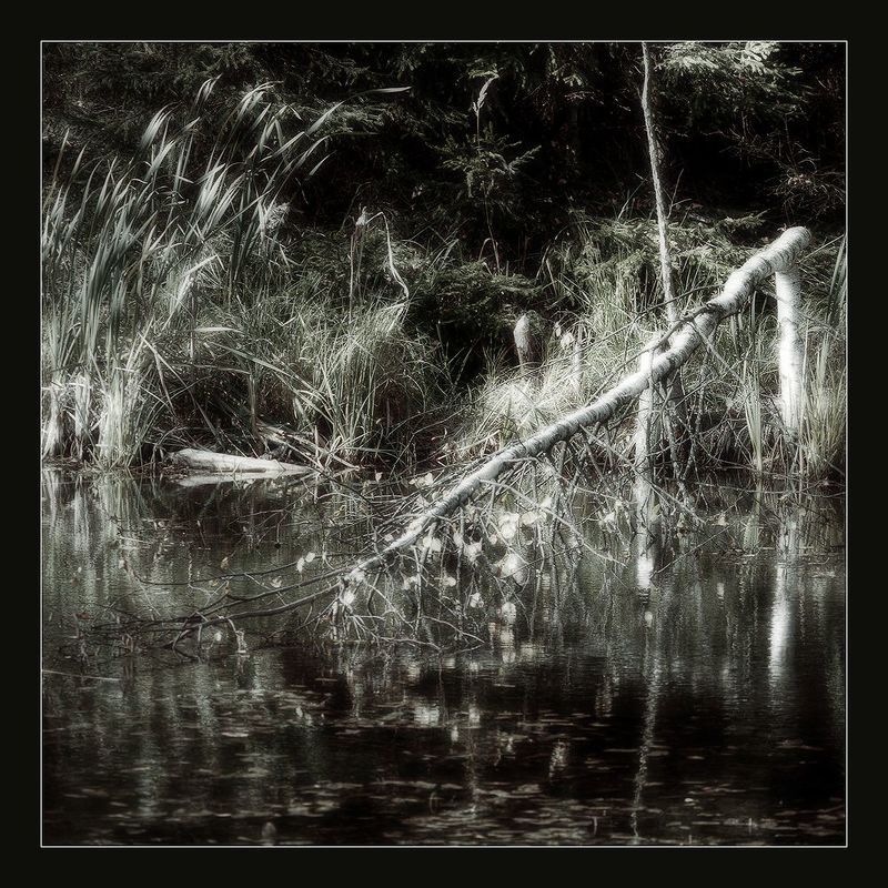 Печальная... фото превью