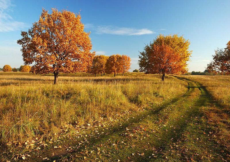 золотая, осень, ильдар, гилязов Осень продолжается... фото превью