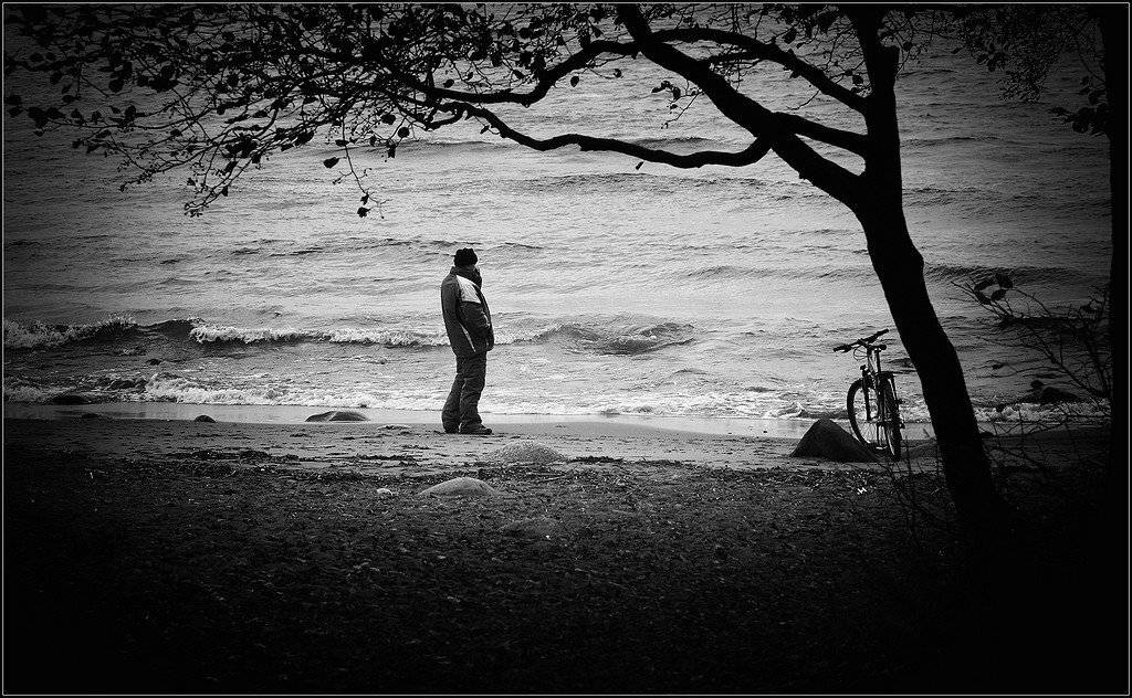 , Андрей Кузьмин