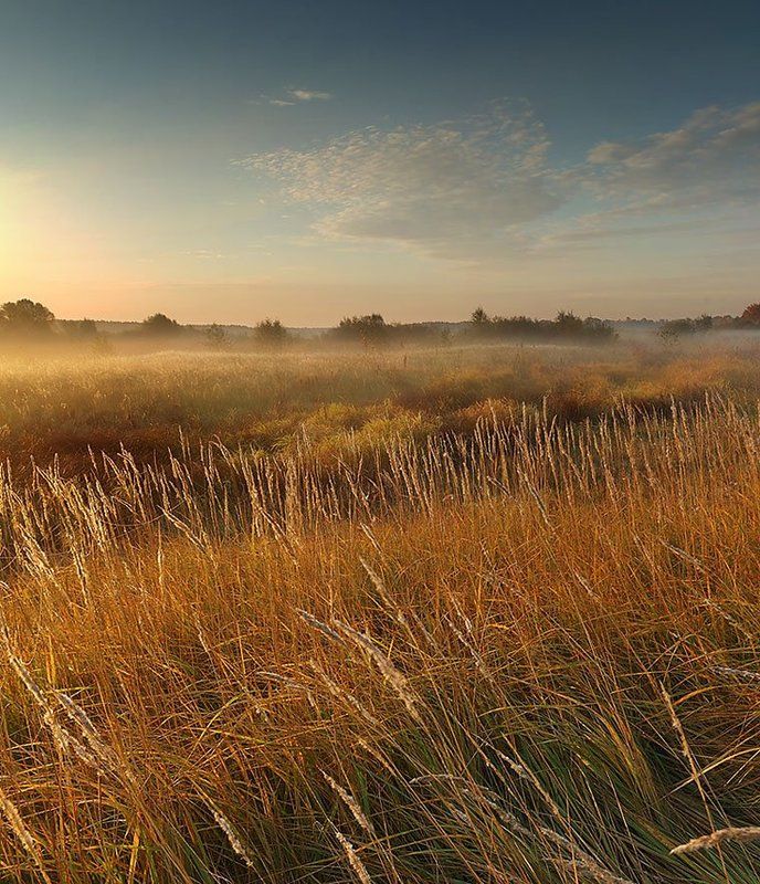 осень, утро, туман *** фото превью