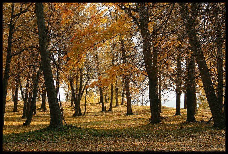 осень,, VTORNIK Эдуард Николаев