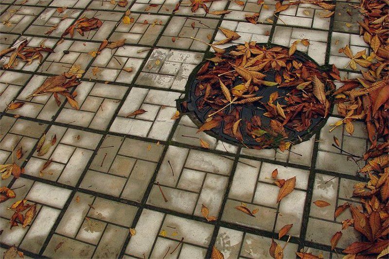 2008, цвет, цифра, осень, листья, люк, плитка, оранжевый, серый, autumn, fall, orange, gray без названия фото превью