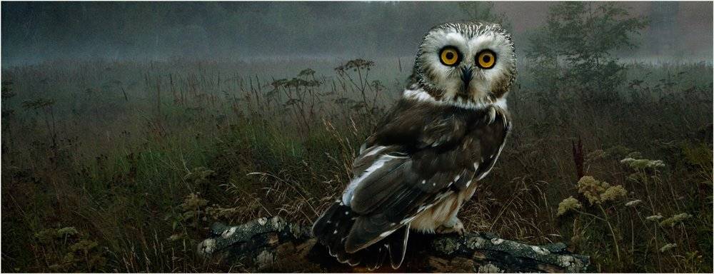 , Виктор Перякин