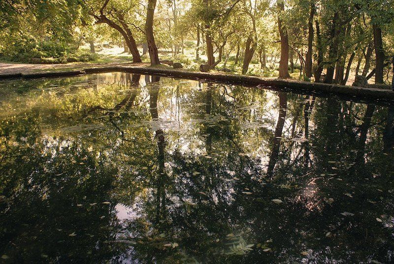 осень , отражения Reflections фото превью