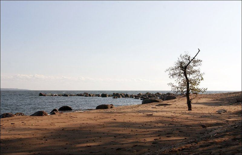 29 фото превью