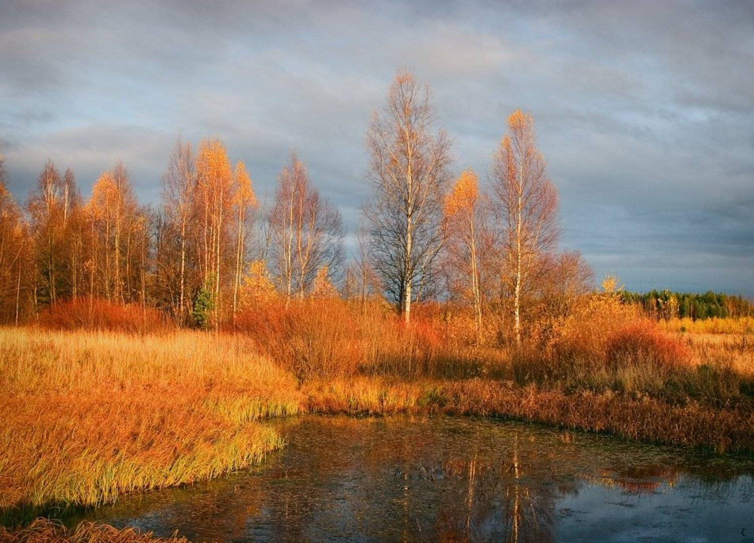 , Владимир Липецких