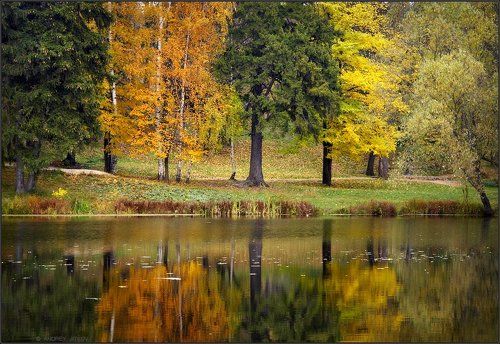 Золотая осень в Захарово