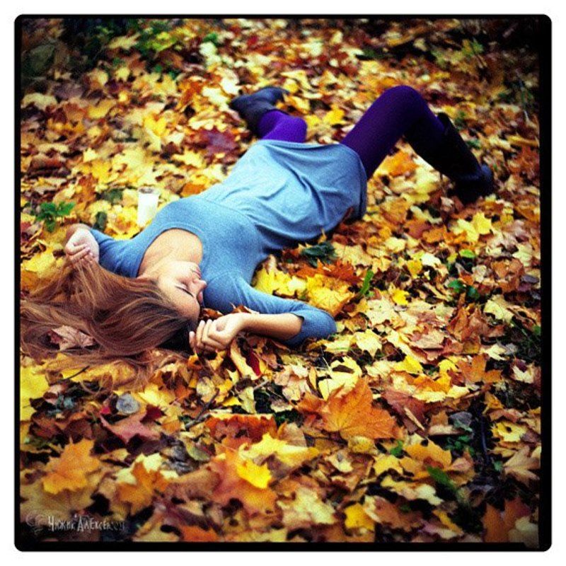 киев88 * фото превью