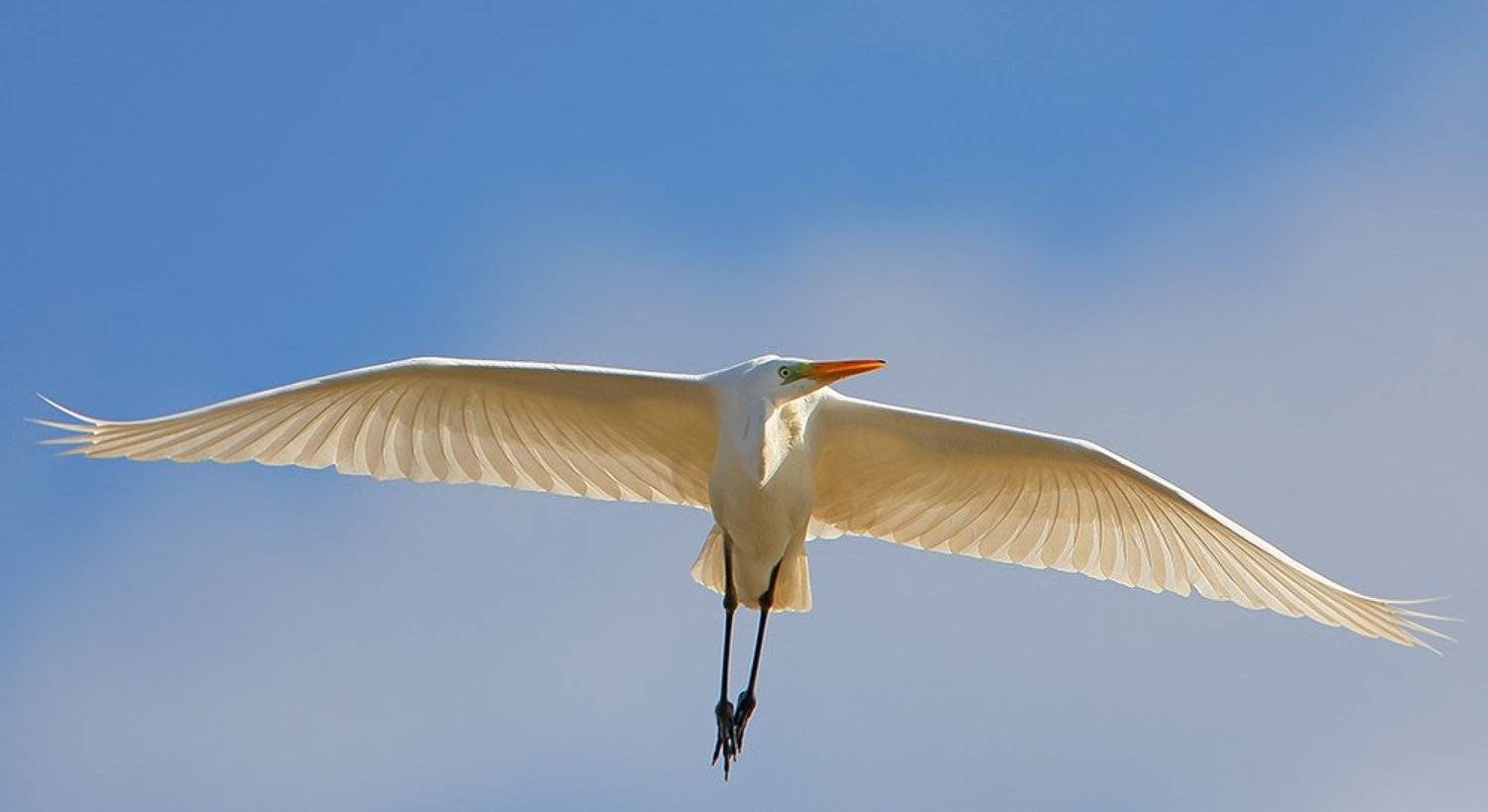 , Владимир Кучеренко