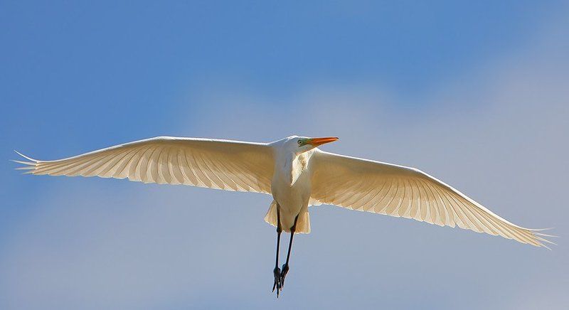 Полеты 19 фото превью