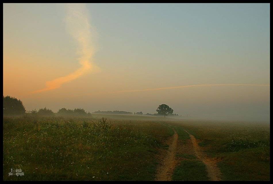 утро,туман,дерево, VTORNIK Эдуард Николаев