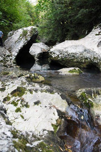 Искусство природной резьбы
