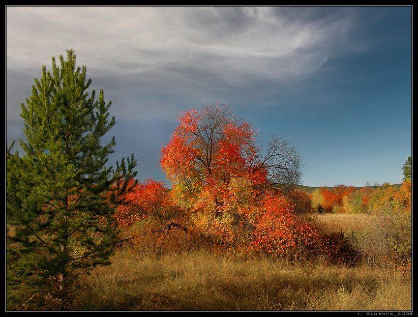 осень, Игорь Глушко