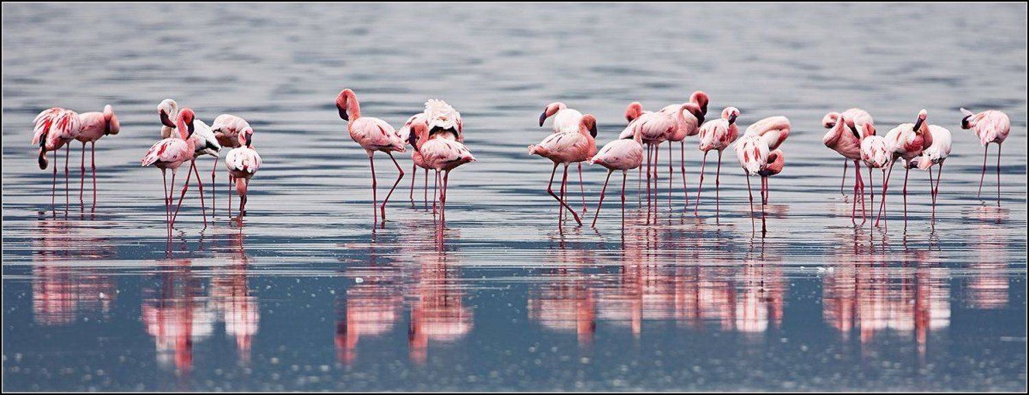 , Марина Кочетова