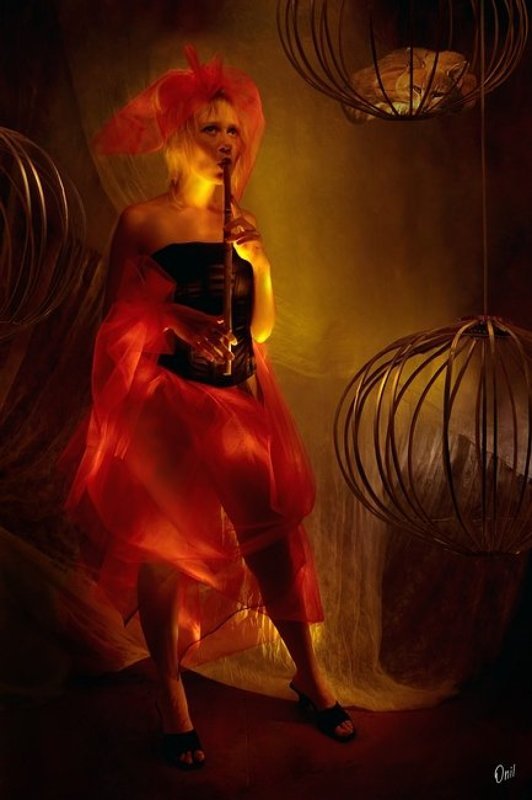 Уроки музыки фрау Шульц фото превью