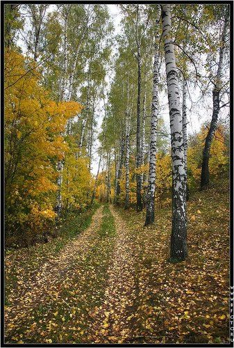 Осень