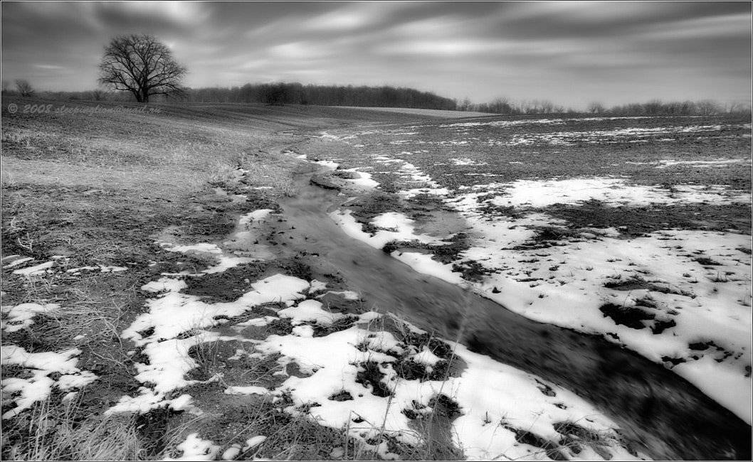пейзаж, пленка, 35 мм, pilgrim, pentax pz1, kodak bw400cn, Pilgrim