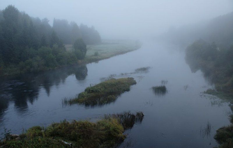 Туманчик фото превью