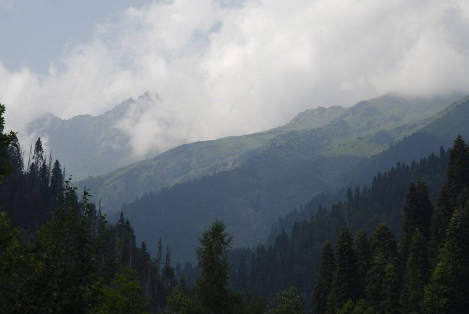 абхазия, страна души, Sergey Tarba