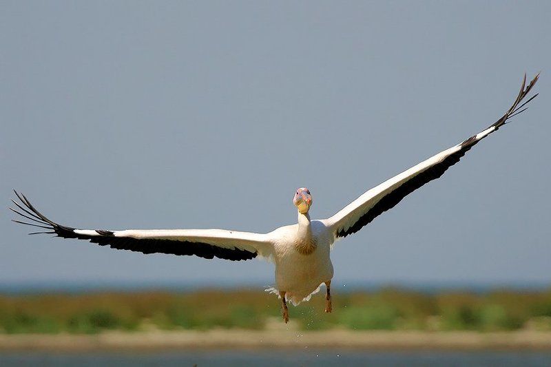 Лобовая фото превью