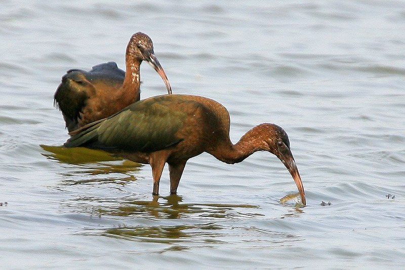 Рыбаки фото превью