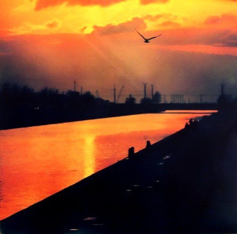 orwocolor nc19, process before 1980 THE_ONE фото превью