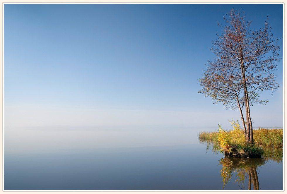 осень, izh Diletant (Валерий Щербина)