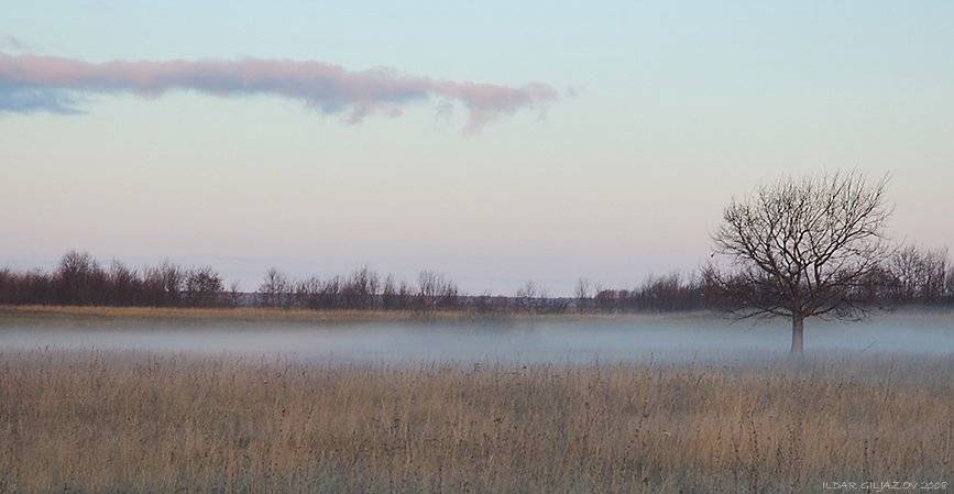утро, туман, рассвет, ильдар, гилязов, Ildar