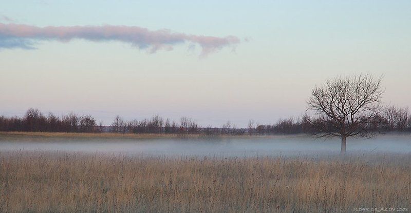 утро, туман, рассвет, ильдар, гилязов *** фото превью