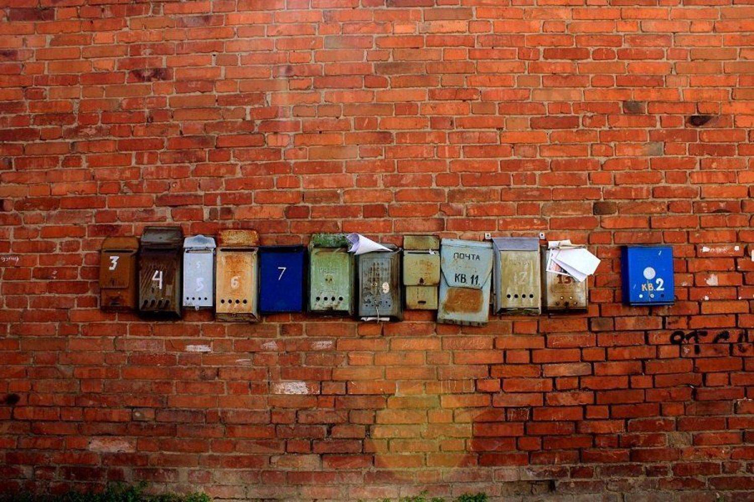 , Сюзанна Шевченко