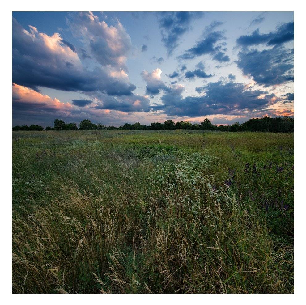 , Владимир Ляпин