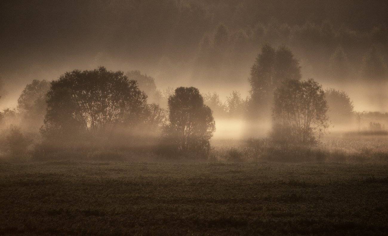 , Владимир Перепечаев