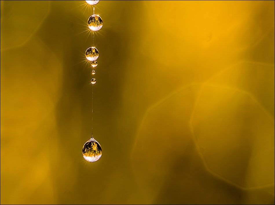 , Бурлов Андрей